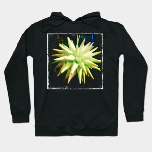 Bordered Paper Star Ball Hoodie